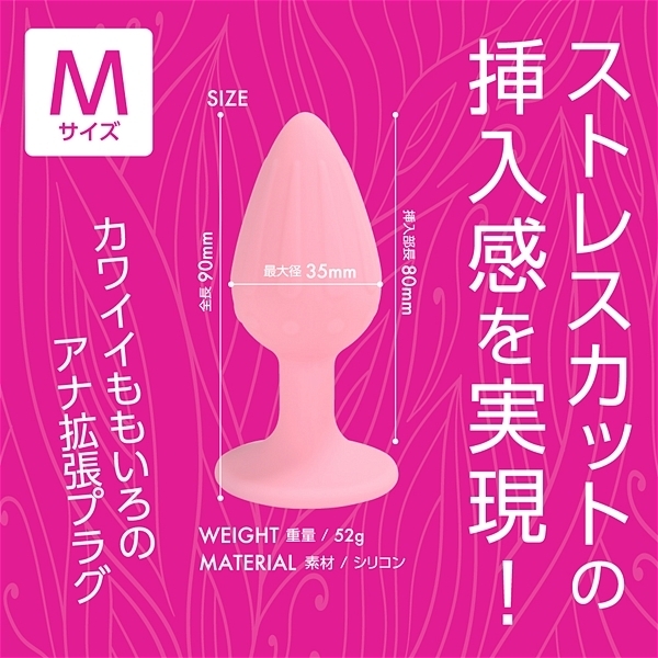 �A�i�v���@�i�l�T�C�Y�j