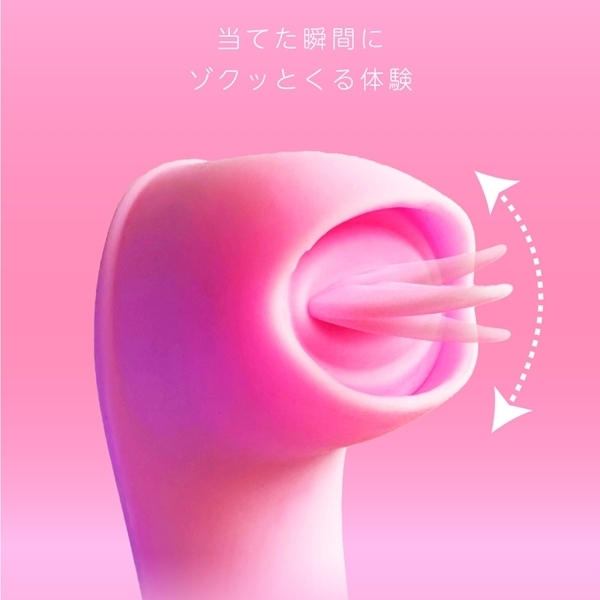 �r�������@�s�����������@�q��������