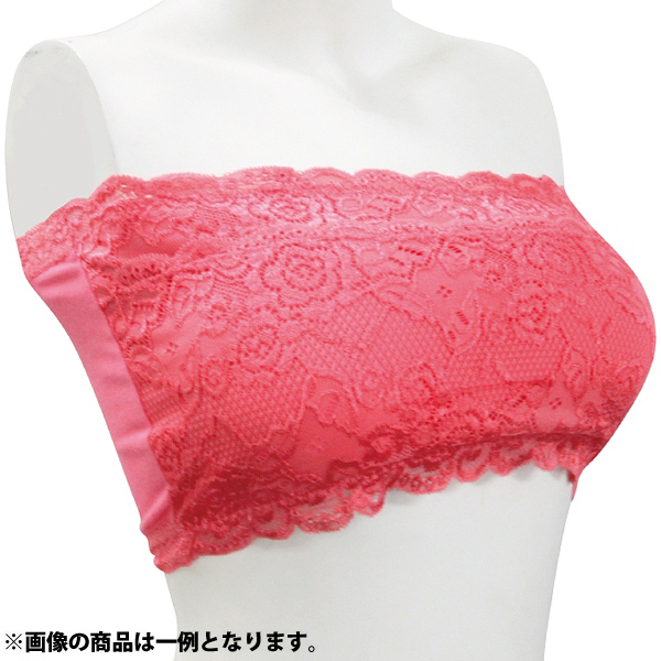 �`���[�u�g�b�v�u���@�P������@�F�A�\�[�g�@�i�l�T�C�Y�j