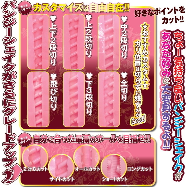 �o���W�[�V�F�C�N�@�i�O�����c�j