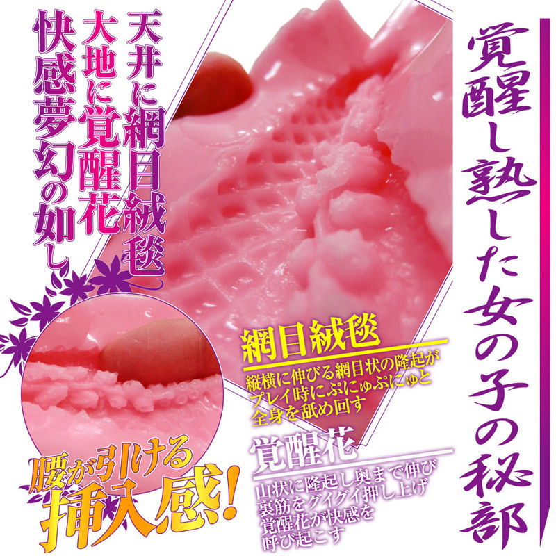 �S�V���b�V��