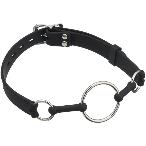 ���v���~�A���@���֌��g