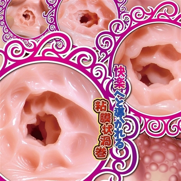 ���ǃJ���u���C�h