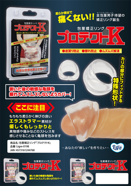 ��s���������O�@�v���e�N�g�j