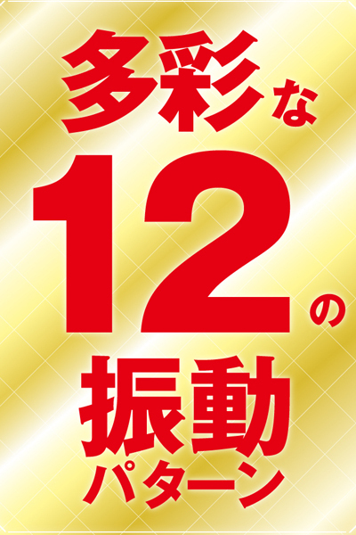 �y�W�T�O�~�����ʌ���z�����C�J�����[�^�[�@�i�_�u���j������l�l�P�_���聄