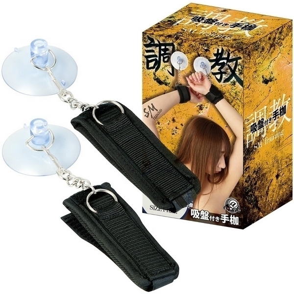 �y�V�R�O�~�����ʌ���z�����@�i�z�Օt����g�j������l�l�P�_���聄