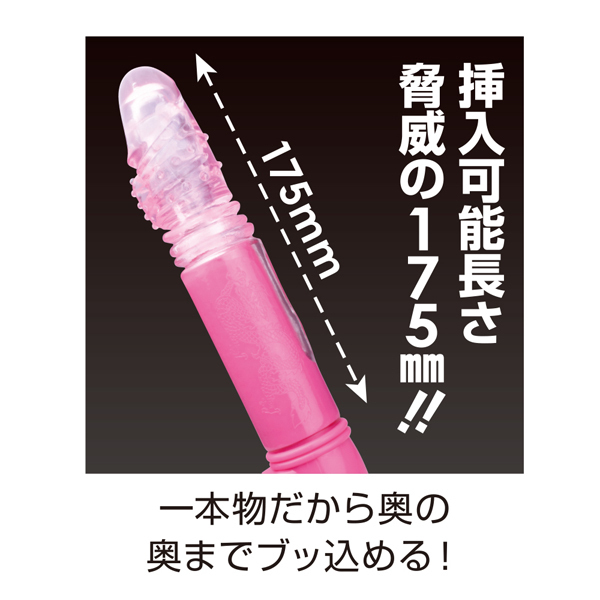 �y�P�V�P�O�~�����ʌ���z�w�������r�����������i�[�m�X�g���C�N�j�@�u���b�N������l�l�P�_���聄