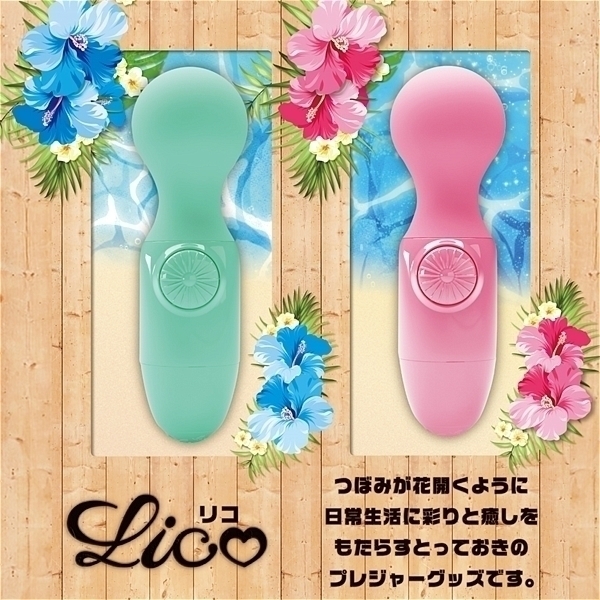 �y�P�R�U�O�~�����ʌ���z�k�������i���R�j�@�^�[�R�C�Y������l�l�P�_���聄