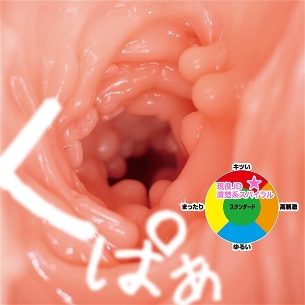 �y�P�S�S�O�~�����ʌ���z�����i�c�@�i���^�n�X�p�C�����j������l�l�P�_���聄