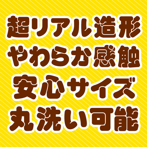 �y�P�P�S�O�~�����ʌ���z�����A���z�Օt���f�B���h�@�i�l�T�C�Y�j������l�l�P�_���聄