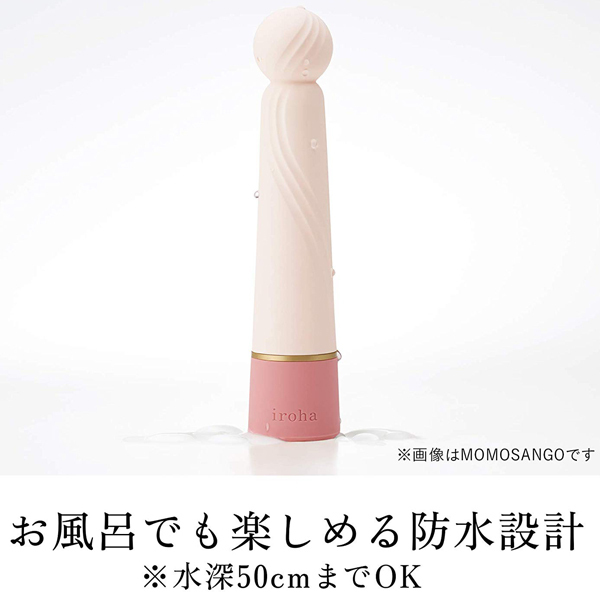 �����������i�C���n�j�@�v���W���[�E�A�C�e���E�����{�@�i�l�n�l�n�r�`�m�f�n�j