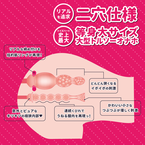 �g�ł��K�̑傫�Ȃ��o����͍D���ł����H