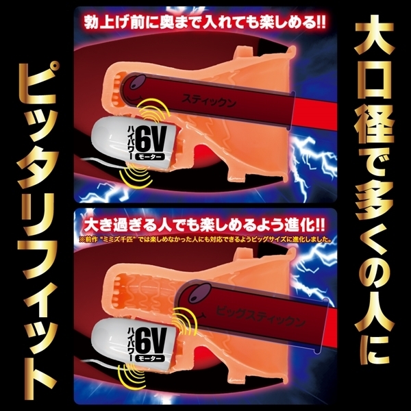 �~�~�Y��C�r�b�O�@���b�h�G�f�B�V����