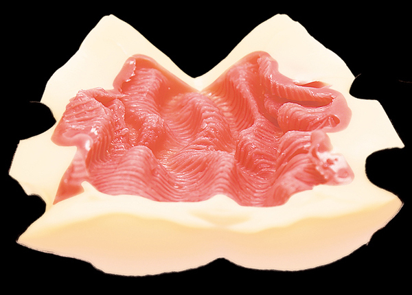 ����̐�y�̓V�˓I�ȍY�ł��s�X�g���R���