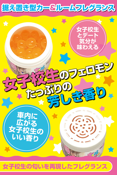 �M�������q�Z��������Ȃɏ悹�����̓����@�i�J�[�t���O�����X�j