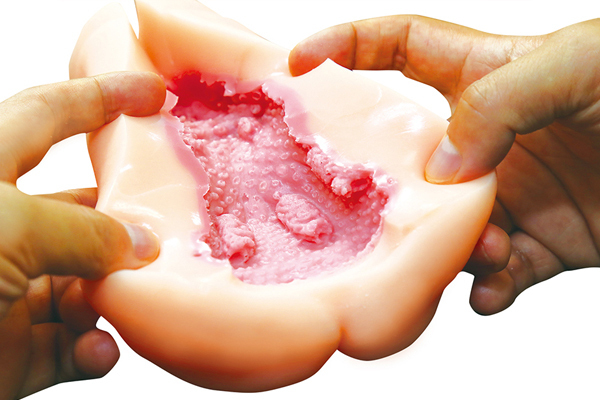 �����ƂȂ����P�R�m�̛s�܂��֊��ɏ㖼��