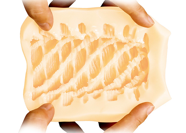 �i�}�C�L�Ȑe�ʏ��q�����̗��݂�����