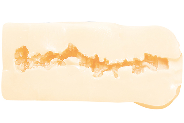 �����T�L���o�X���o����̍�ɏ㖼��