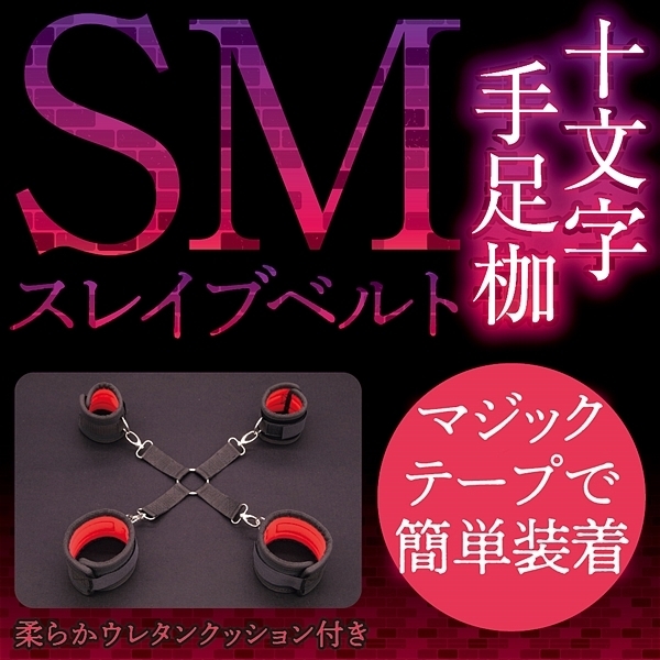 �r�l�X���C�u�x���g�@�i�\�����葫�g�j