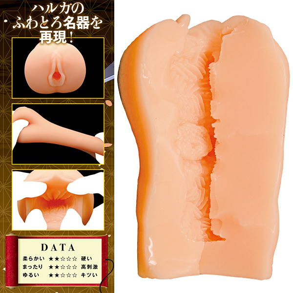 ���V�M�E�n���J�@�s�g�d�@�g�n�k�d�@�i��{�n���J�j