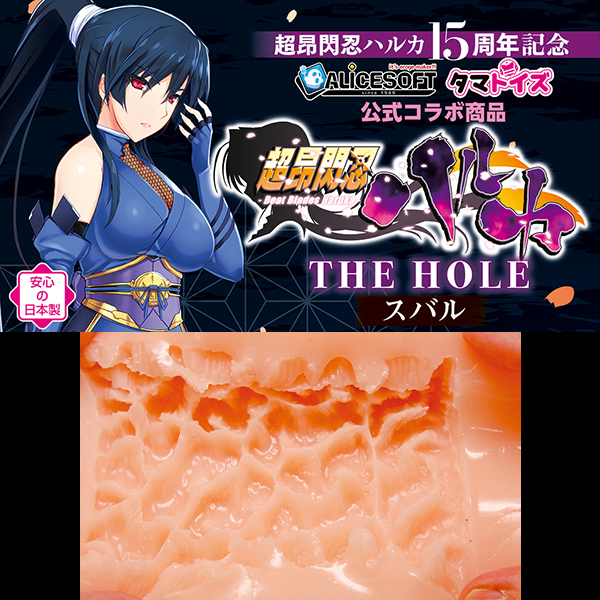 ���V�M�E�n���J�@�s�g�d�@�g�n�k�d�@�i�X�o���j