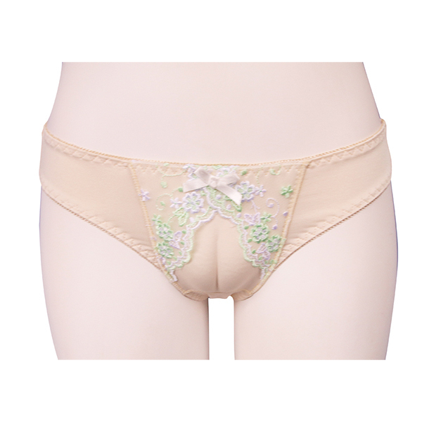 �������V���[�c�@���Ƃ��̖��p�Q�k�T�C�Y�i�j���p�l�j