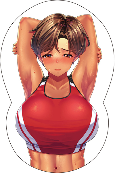 �����ς��{�[�h�J�o�[�@�V�U�@�i�C���X�g�F���g�B�j