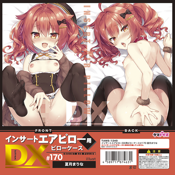 �C���T�[�g�G�A�s���[�c�w�p�s���[�P�[�X���P�V�O�@�Č��܂��