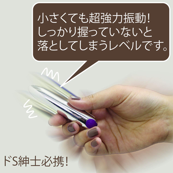 極天 −kiwami ten− (Chrysalis FREEZE) 銀