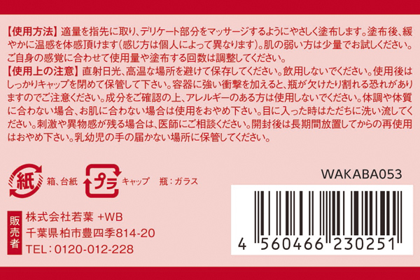 �s�n�l�n�q�t�i�Ƃ���j�@�T����