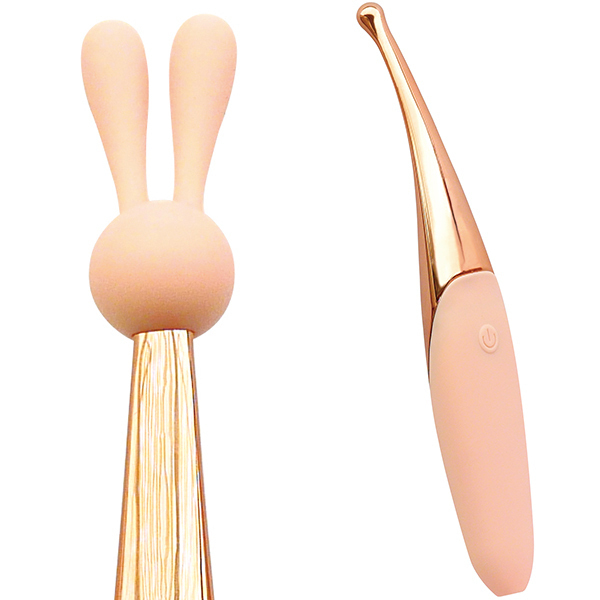 �a���������������f���@�k�������@�i�s���|�C���g�o�C�u�j