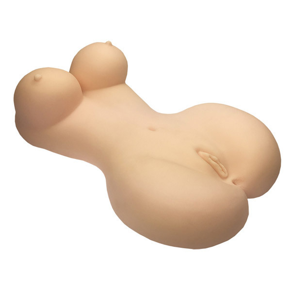 �i�`�o�`�m�@�a�n�c�x�@�����i���j