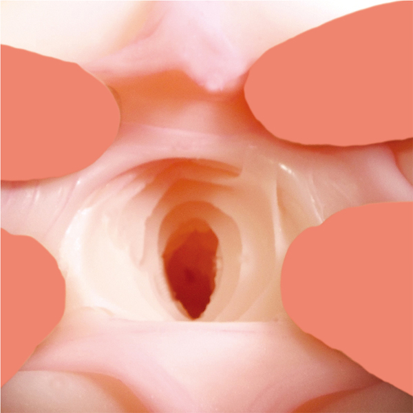 �ɏ㐶����@�������ق�@�i�c�u�c�����j