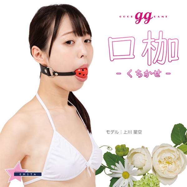 �����V���[�Y�@�u���g�v�����t���r�l�O�b�Y�@�`�u���E�p���c�E�\�b�N�X�t���`