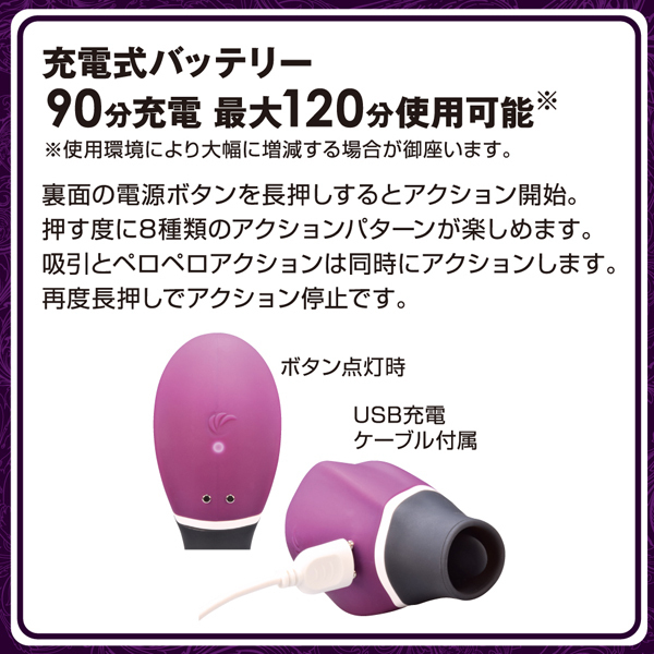 ���z������c�������������@�i�_�u�����b�p�[�j