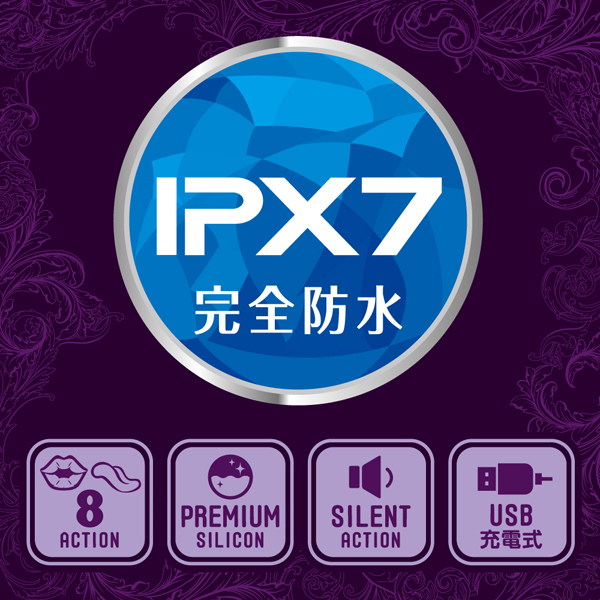 ���z������c�������������@�i�_�u�����b�p�[�j