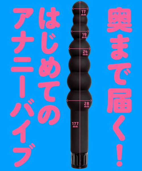 �Ղɂ��ƃA�i���@�i�r�[�Y�X�e�B�b�N�o�C�u�j