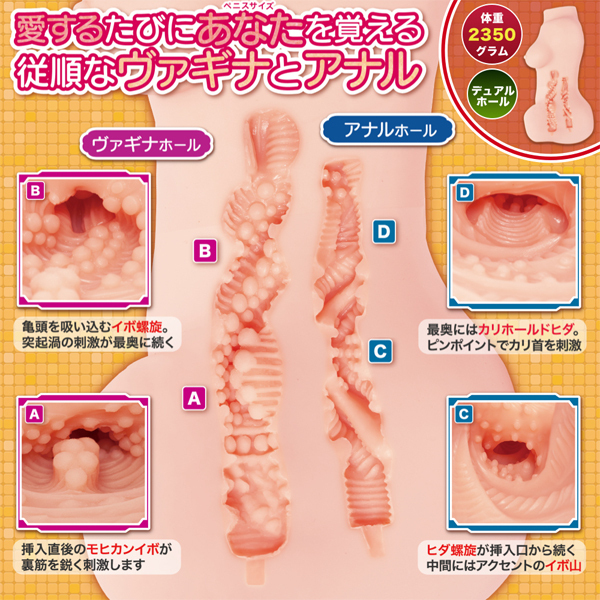 �g�������������������@�O�V�Q�i�n�������@�O�V�Q�j