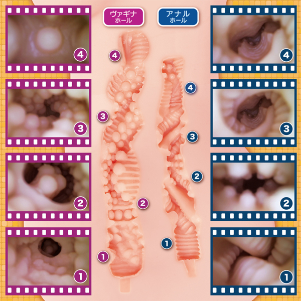 �g�������������������@�O�V�Q�i�n�������@�O�V�Q�j