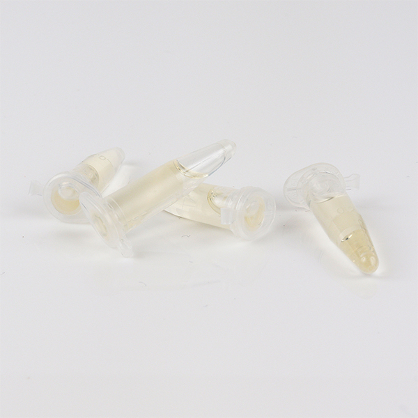 濡れアワビ (爆イキ)