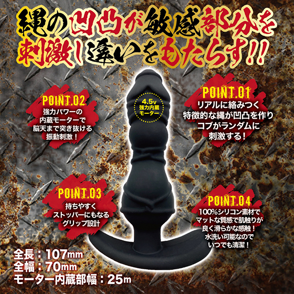 ���X�C�L�@�N���C�W�[�W�����L�[�@�i�ٔ��j