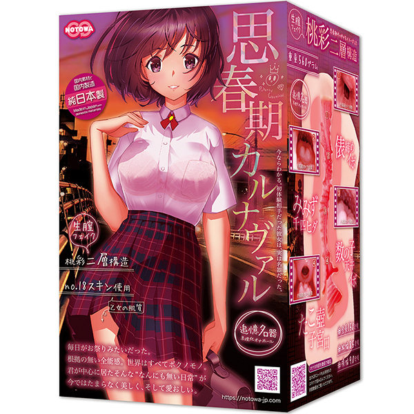 �v�t���J���i���@��