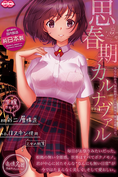 �v�t���J���i���@��