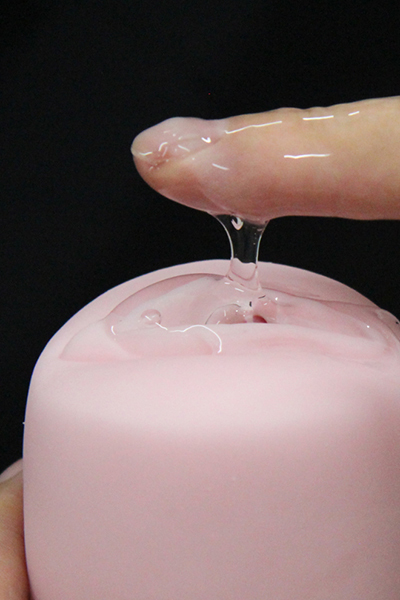 ���ی���L�@���߂Ă̈��t�@�i�P�Q�O�����j