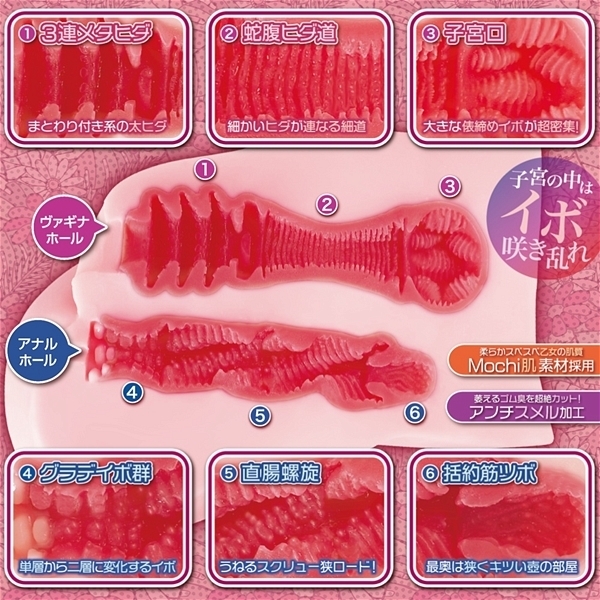 ���[�e�����u���[��