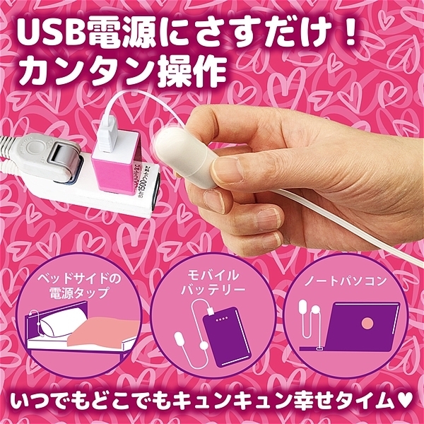 USBローター