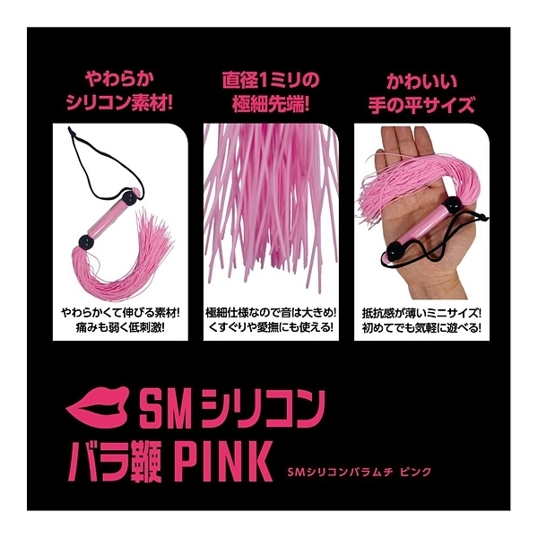 �r�l�V���R���o���ځ@�i�o�h�m�j�j