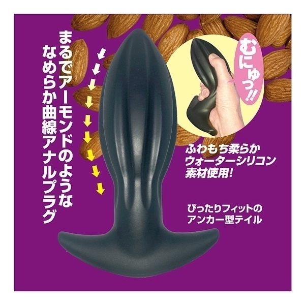 �A�[�����h�A�i���@�i�w�k�j