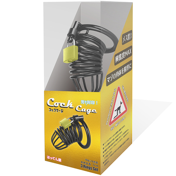 �b�������@�b�������@�j�𕕈�I