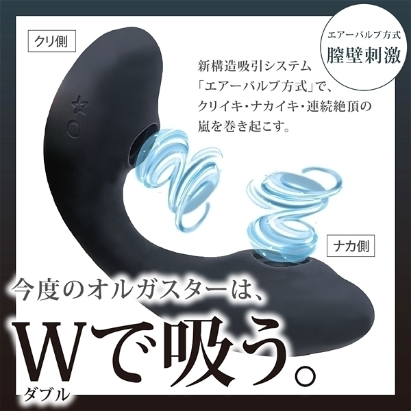 ���z������I���K�X�^�[�v�z���@�i�u���b�N�j